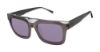Picture of Ted Baker Sunglasses TMS091