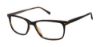 Picture of Ted Baker Eyeglasses TM004