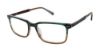 Picture of Ted Baker Eyeglasses TM006