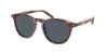 Picture of Polo Sunglasses PH4181