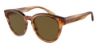 Picture of Giorgio Armani Sunglasses AR8164