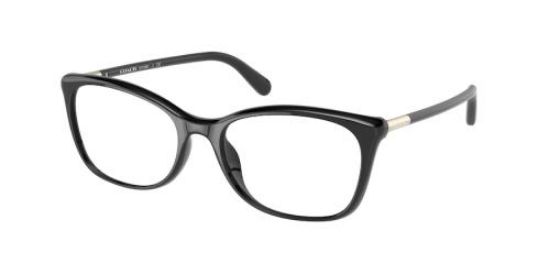Picture of Coach Eyeglasses HC6192U