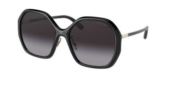 Picture of Coach Sunglasses HC8343