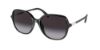 Picture of Coach Sunglasses HC8344U