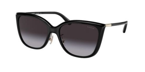 Picture of Coach Sunglasses HC8345