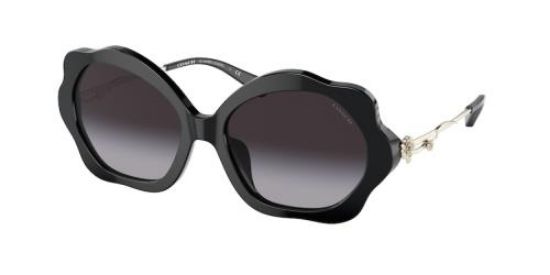 Picture of Coach Sunglasses HC8346BU