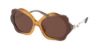 Picture of Coach Sunglasses HC8346BU