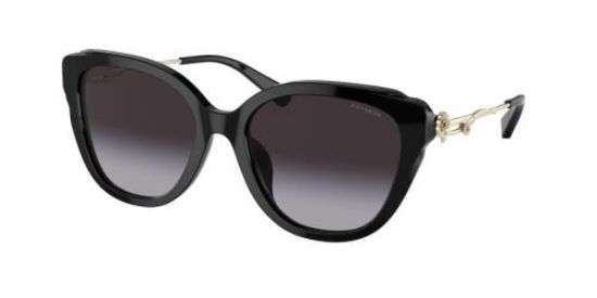 Picture of Coach Sunglasses HC8347BU