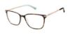 Picture of Ted Baker Eyeglasses B748