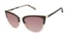 Picture of Ted Baker Sunglasses TWS161