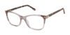 Picture of Ted Baker Eyeglasses TW008