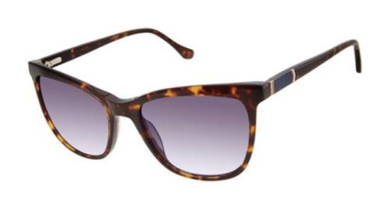 Picture of Buffalo David Bitton Sunglasses BWS005