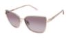 Picture of Buffalo David Bitton Sunglasses BWS012