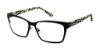 Picture of L.A.M.B. Eyeglasses LA051