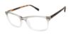 Picture of Buffalo David Bitton Eyeglasses BM020