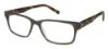 Picture of Ted Baker Eyeglasses B894