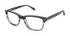 Picture of Ted Baker Eyeglasses B947
