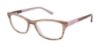 Picture of Ted Baker Eyeglasses B952