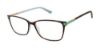 Picture of Ted Baker Eyeglasses TFW004