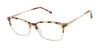 Picture of Ted Baker Eyeglasses TFW009