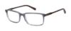 Picture of Ted Baker Eyeglasses TM002