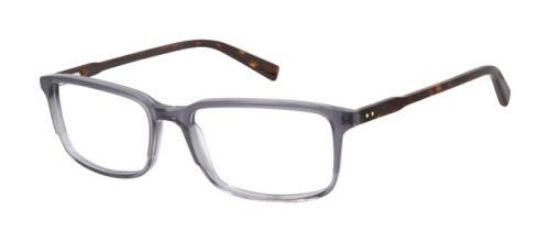 Picture of Ted Baker Eyeglasses TM002