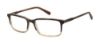 Picture of Ted Baker Eyeglasses TM002
