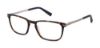 Picture of Ted Baker Eyeglasses TFM004