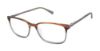 Picture of Ted Baker Eyeglasses TFM007