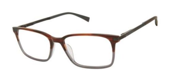 Picture of Ted Baker Eyeglasses TFM008