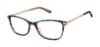 Picture of Ted Baker Eyeglasses TFW002