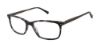 Picture of Ted Baker Eyeglasses TM004