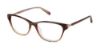 Picture of Ted Baker Eyeglasses B737