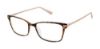 Picture of Ted Baker Eyeglasses B747
