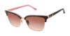Picture of Buffalo David Bitton Sunglasses BWS001