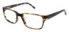 Picture of Ted Baker Eyeglasses B868