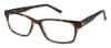 Picture of Ted Baker Eyeglasses B894