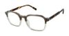 Picture of Ted Baker Eyeglasses TM005