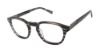 Picture of Ted Baker Eyeglasses TM007