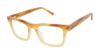 Picture of Ted Baker Eyeglasses TM010