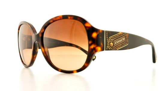 Picture of Coach Sunglasses HC8037B
