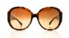 Picture of Coach Sunglasses HC8037B