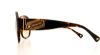 Picture of Coach Sunglasses HC8037B