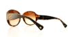 Picture of Coach Sunglasses HC8037B