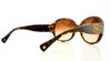 Picture of Coach Sunglasses HC8037B