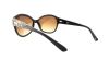 Picture of Bebe Sunglasses BB7039