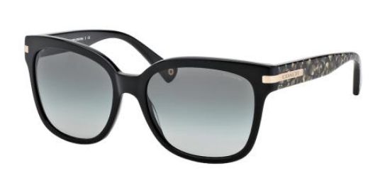 Picture of Coach Sunglasses HC8103