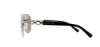 Picture of Michael Kors Sunglasses MK1003 Fiji