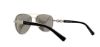 Picture of Michael Kors Sunglasses MK1003 Fiji