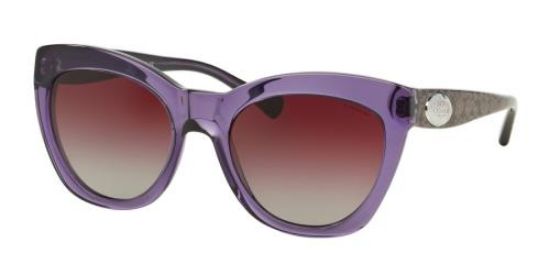 Picture of Coach Sunglasses HC8151